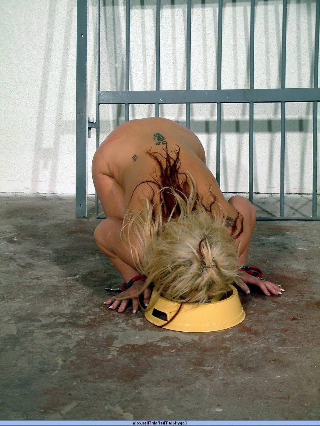 16P Electro pain and humiliation of blonde bdsm slavegirl Crystel Lei in the prison 