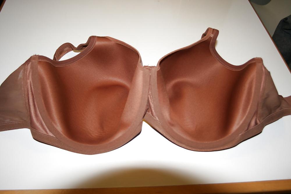 6P H cup bra