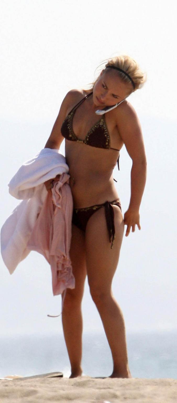 15P Hayden Panettiere celebrity in bikini at the beach pictures