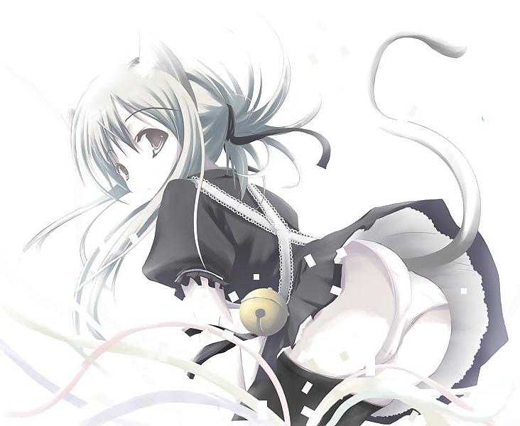 11P Hot Anime Girls