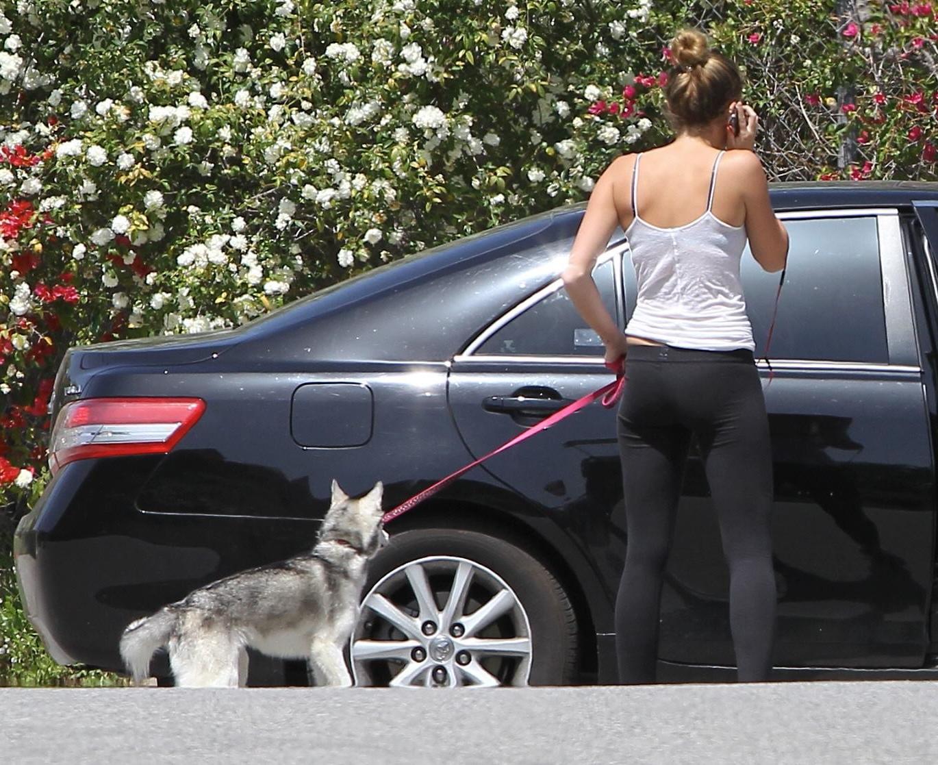 16P Miley Cyrus see through to bra while running out her dog in Toluca Lake