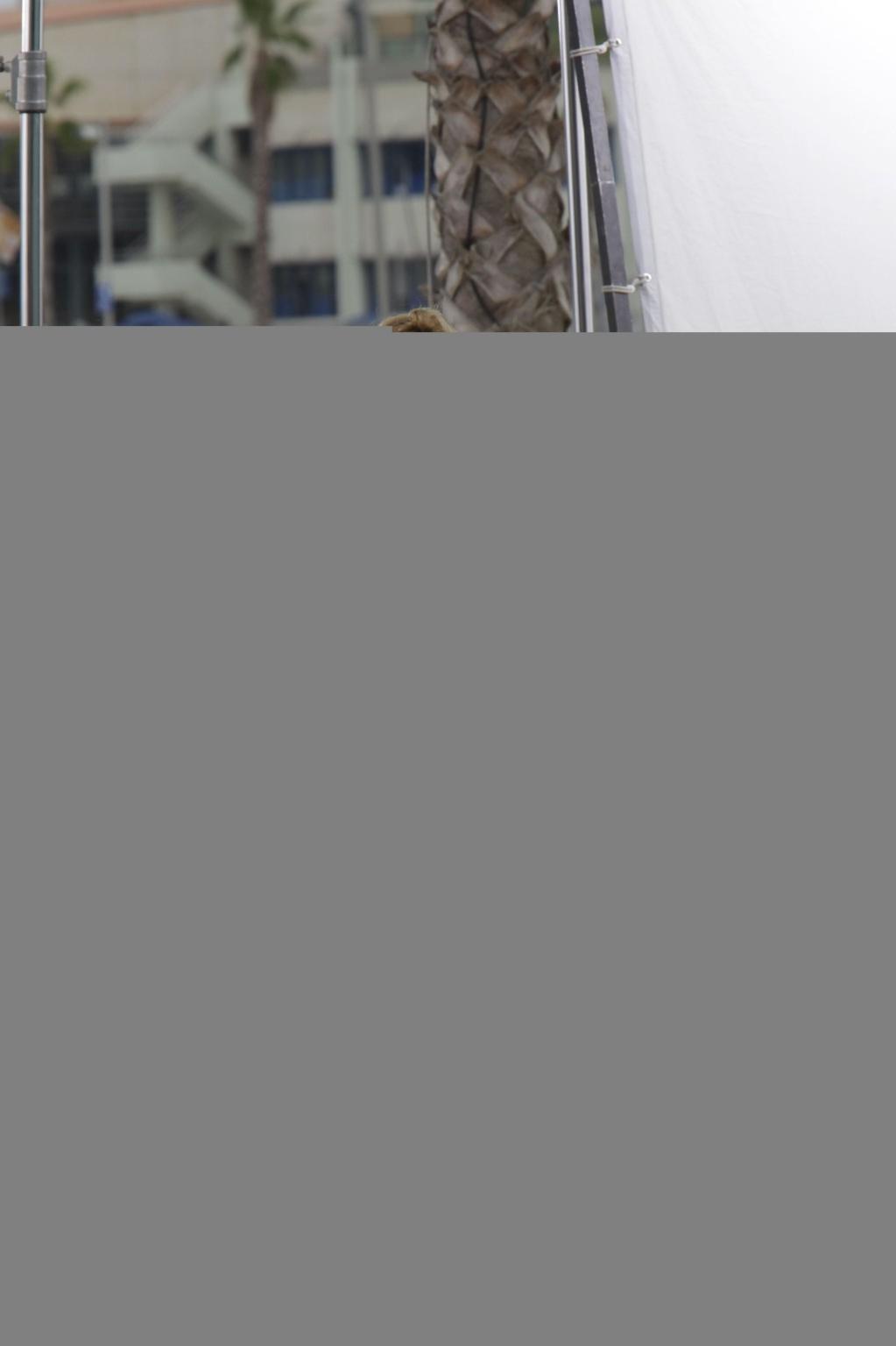 15P Shakira Ripoll in different bikini tops on the set of her new music video in Bar