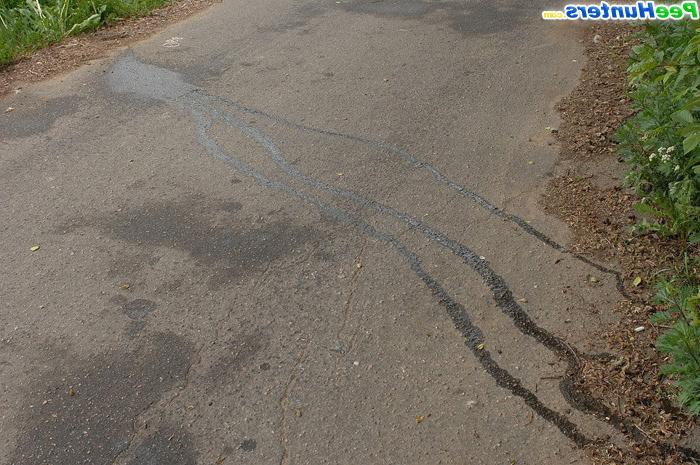16P Tight teen strips down to her bra and takes a piss on a road