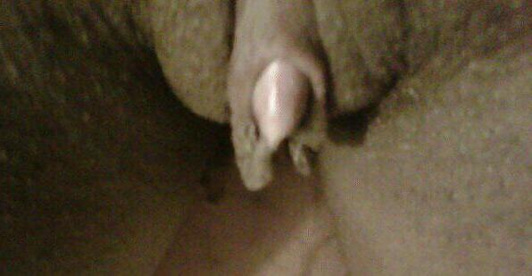 19P Real Thick#2