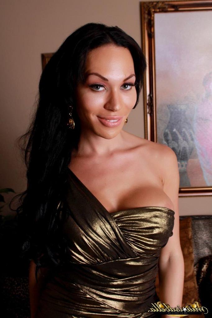 12P Busty tgirl Mia Isabella posing her goodies