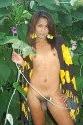 15P Foxy Asian Tgirl Loses Her Bikini Stripping Outside