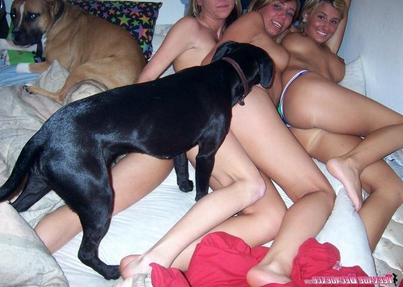 15P Many pretty and hot amateur teens undressing and posing sexy