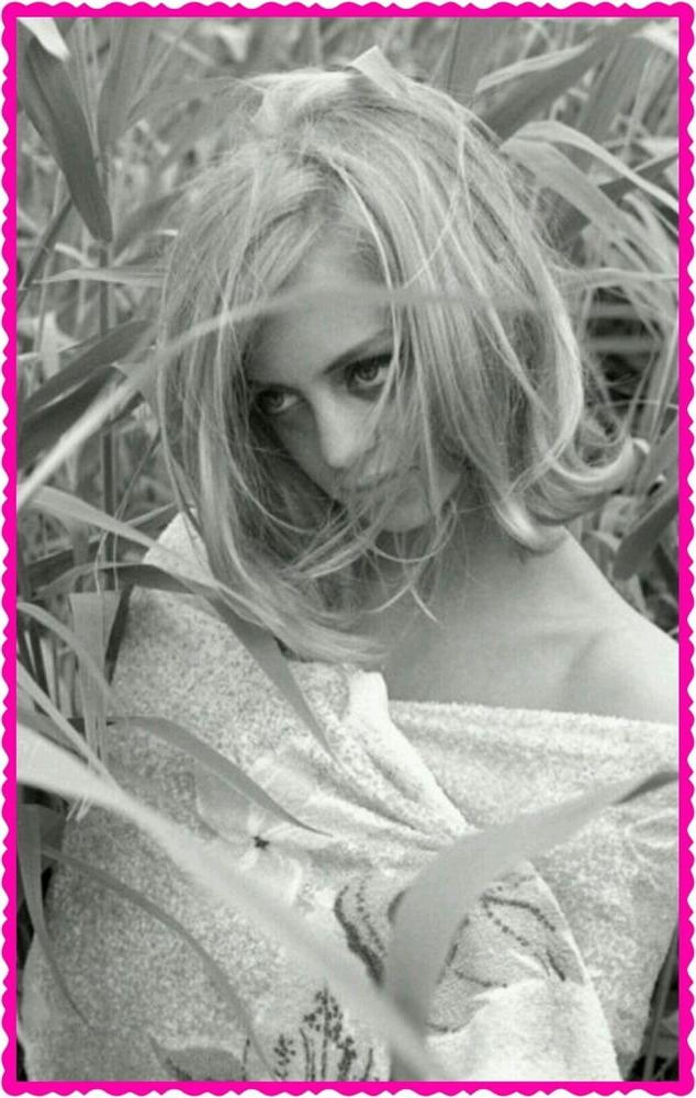 25P Sex Symbols you may have forgotten - Goldie Hawn