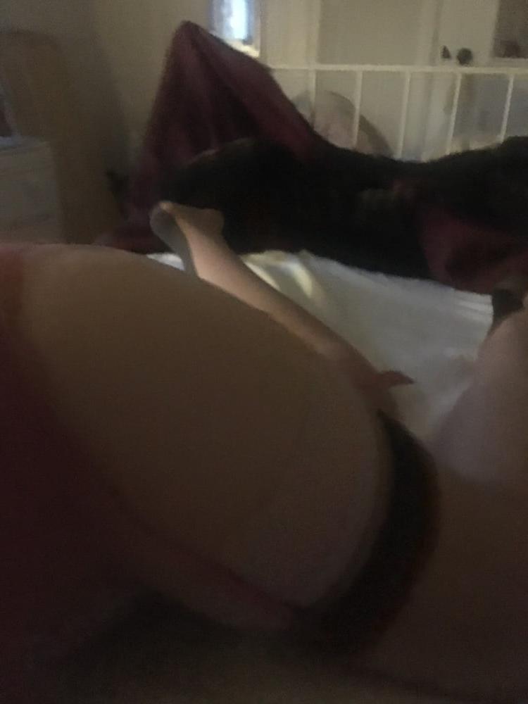 18P Nymph sex session in stockings, suspenders and bra