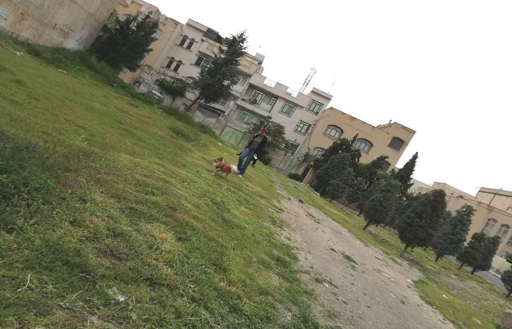 25P Animals Porno girls (Iran) 1