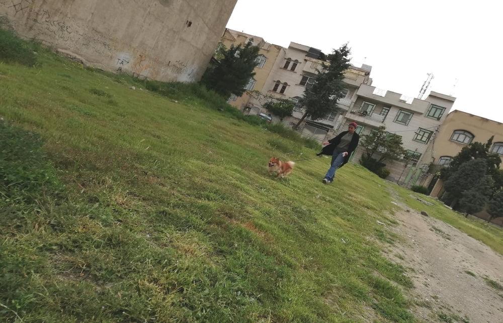 25P Animals Porno girls (Iran) 1
