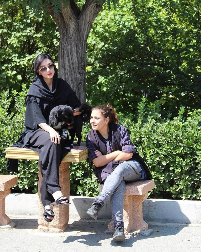 25P Animals Porno girls (Iran) 1