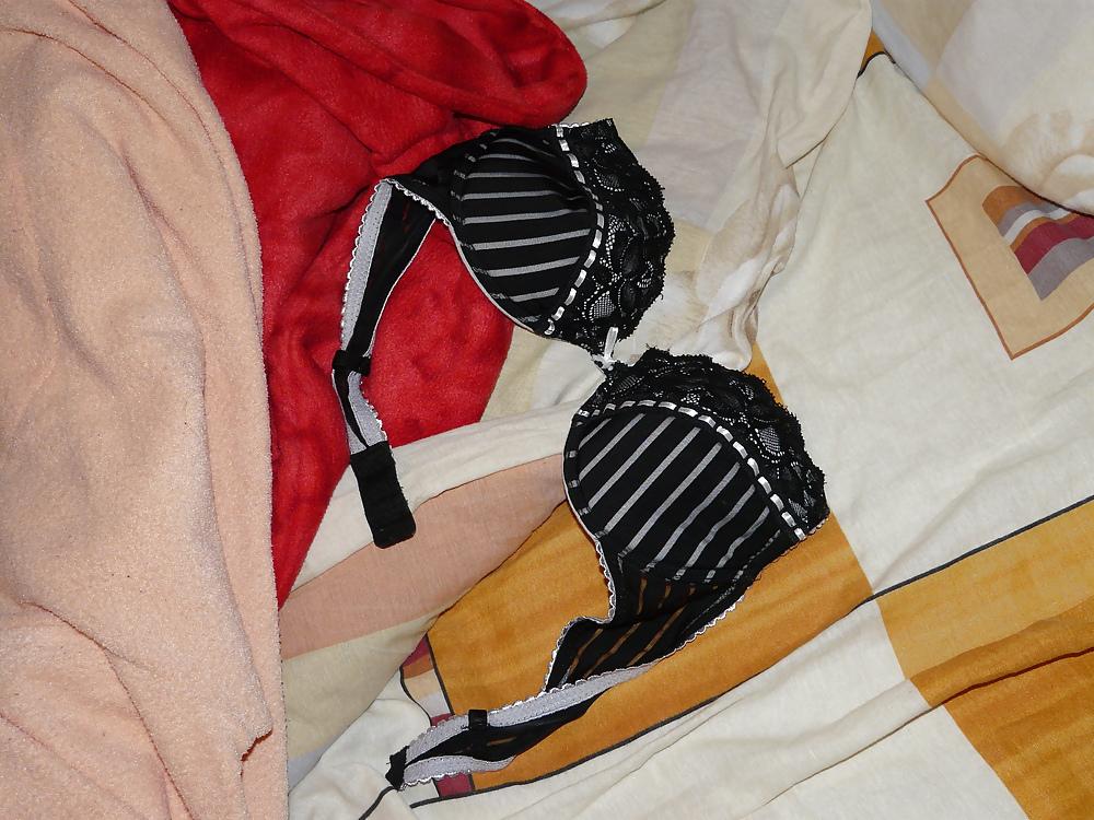 8P My sister's bra