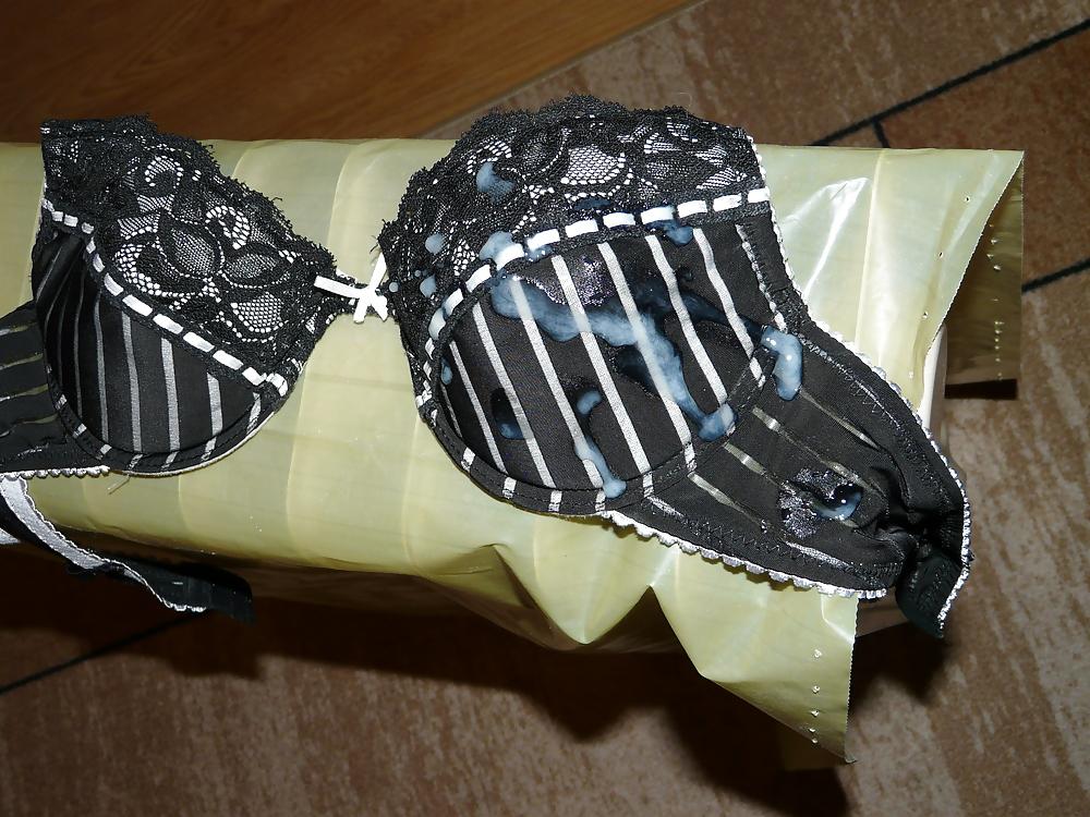 8P My sister's bra