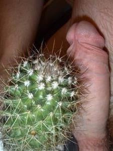 25P Heiße Fotze und Schwanz auf Kaktusmuschi Cocktus