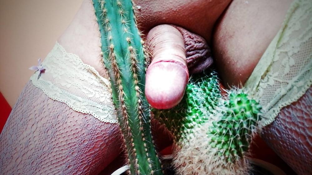 25P Heiße Fotze und Schwanz auf Kaktusmuschi Cocktus