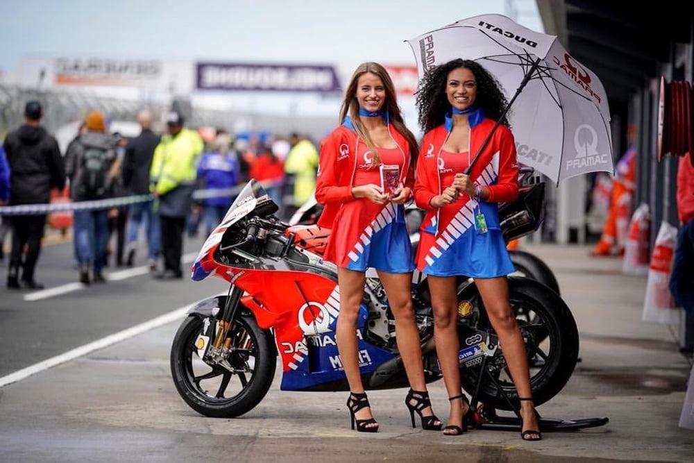 25P 04 - Paddock Girls