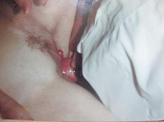 25P Sylvias Gangbang