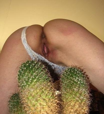 25P Cunt &amp; Cock on Cactus