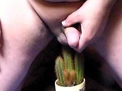 25P Cunt &amp; Cock on Cactus