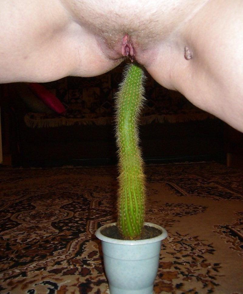 25P Cunt &amp; Cock on Cactus