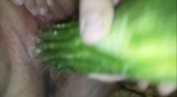 25P Cunt &amp; Cock on Cactus