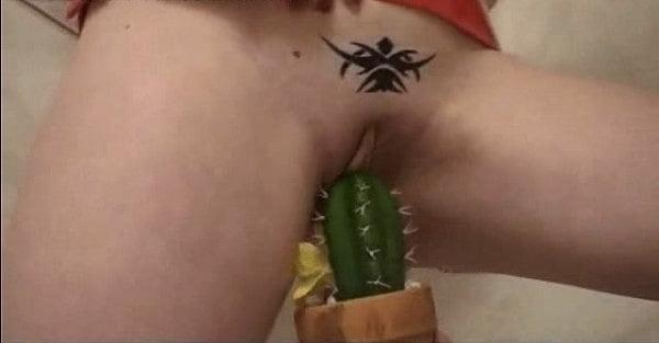 25P Cunt &amp; Cock on Cactus