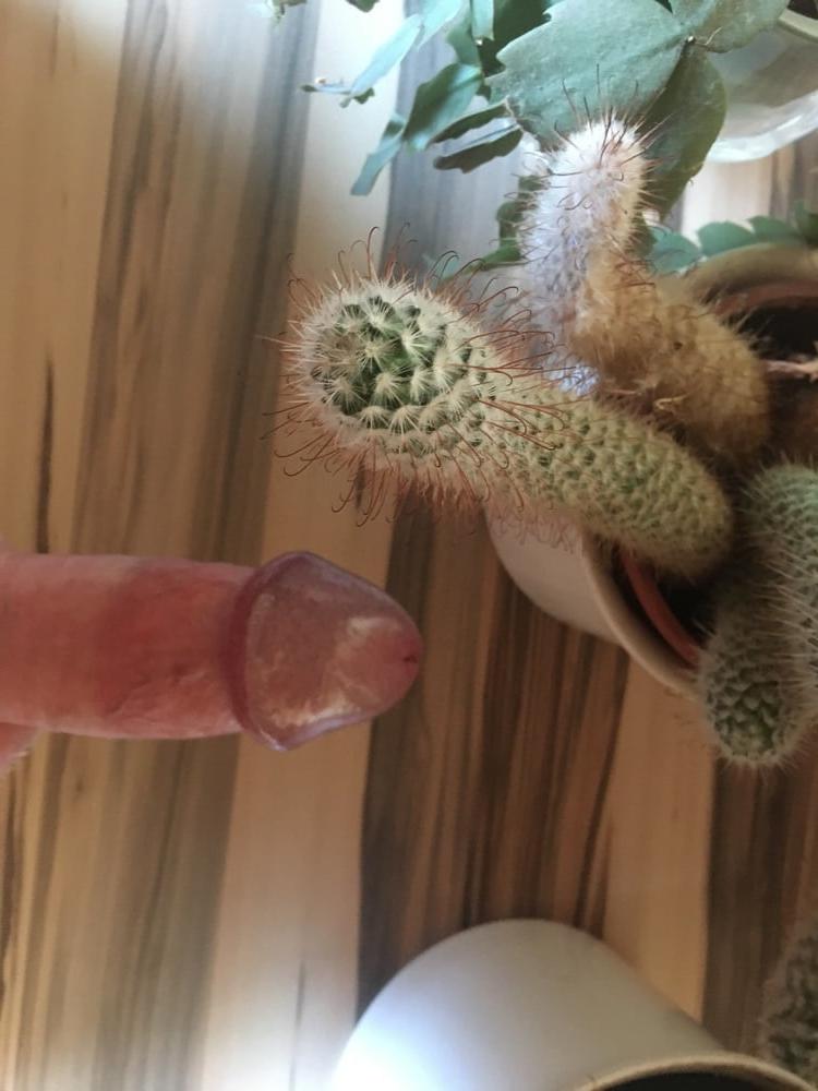25P Cunt &amp; Cock on Cactus