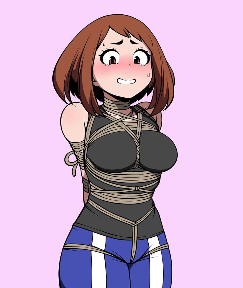 25P All My Hero Academia Girls