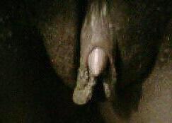 25P Real Thick in Bed 