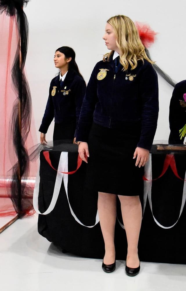 25P FFA Girls in Pantyhose