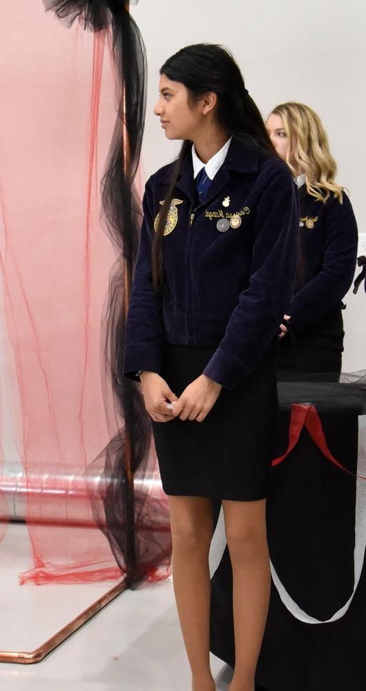 25P FFA Girls in Pantyhose