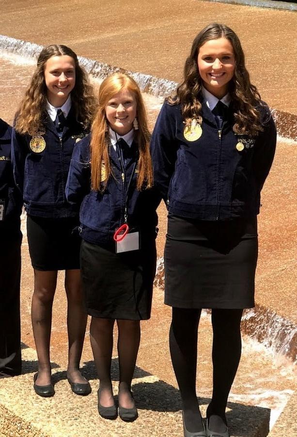 24P FFA Girls in Pantyhose