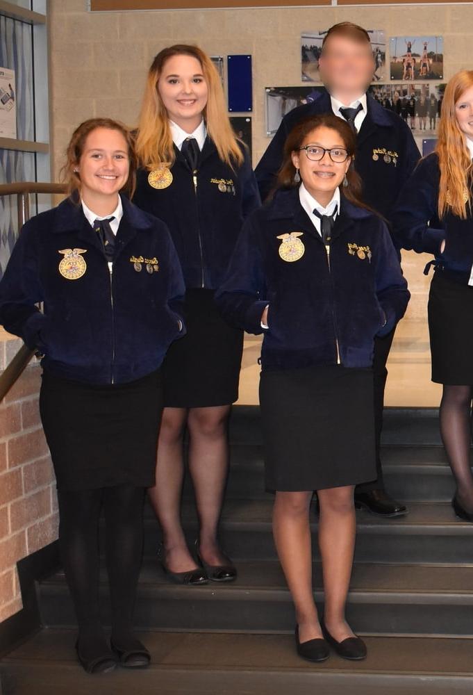 24P FFA Girls in Pantyhose