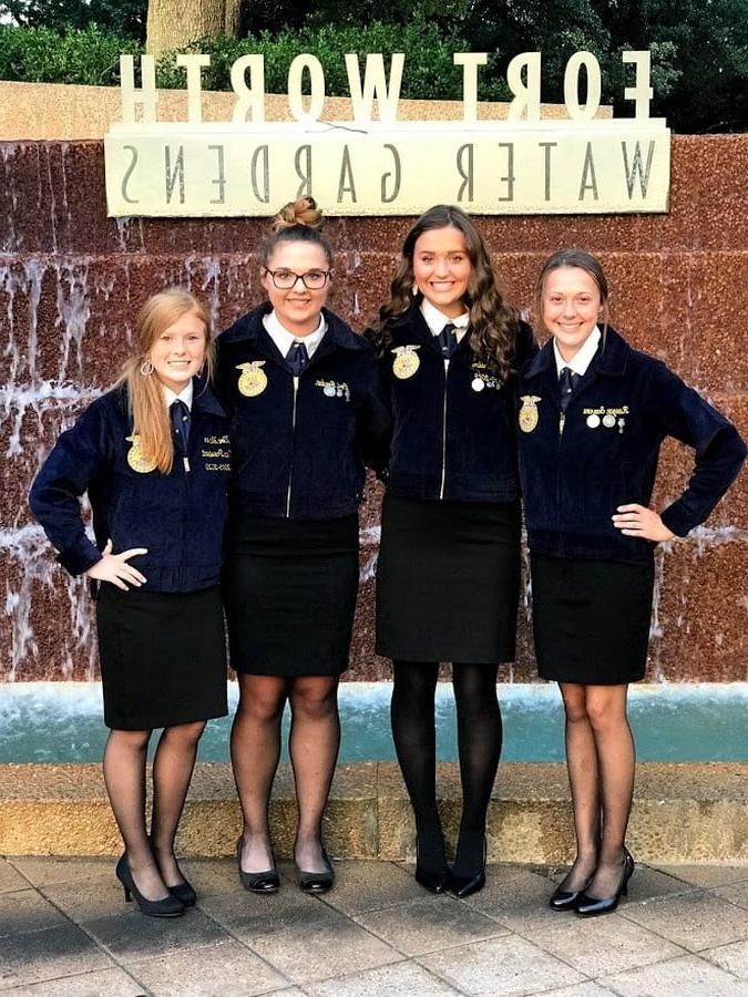 24P FFA Girls in Pantyhose