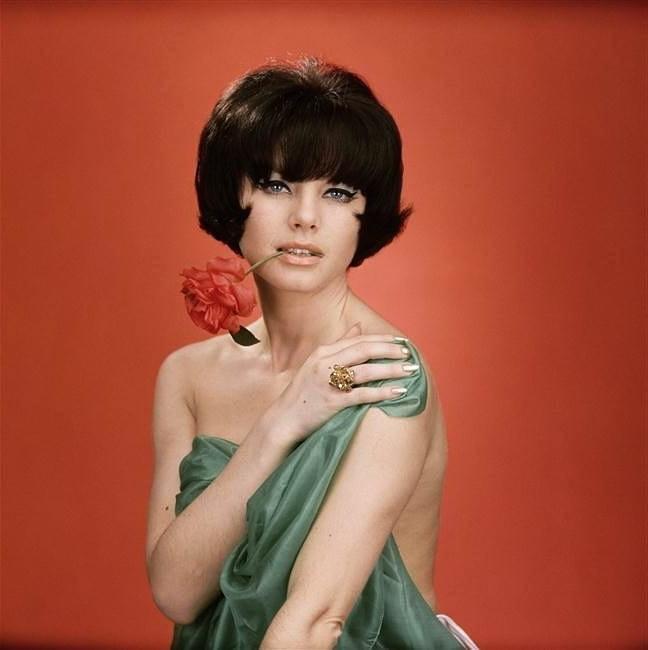 25P VINTAGE CELEBS AND BEAUTIES 3