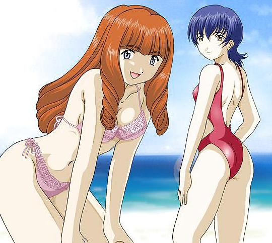 25P Anime-Manga-Hentai Images Vol 7: Swimsuits.
