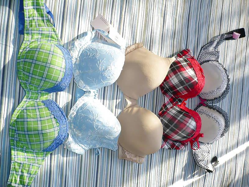 25P My bra collection