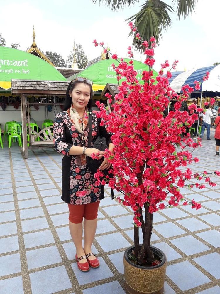 19P thai wife