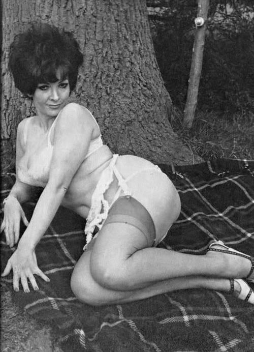 25P Vintage Stockings 64