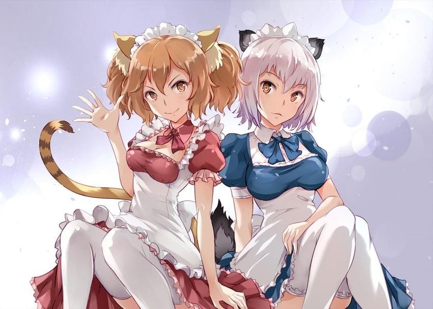 10P Anime Ecchi Hentai Nr. 012 (Killing Bites)