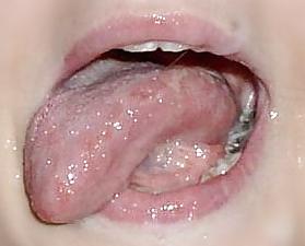 15P Blowjob and Cumshot Close-Ups 2