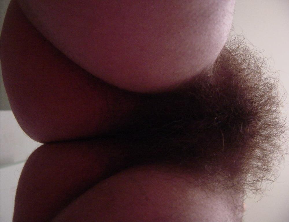 25P Bonnes chattes poilues vol 15 - hairy pussies  hairy cunt