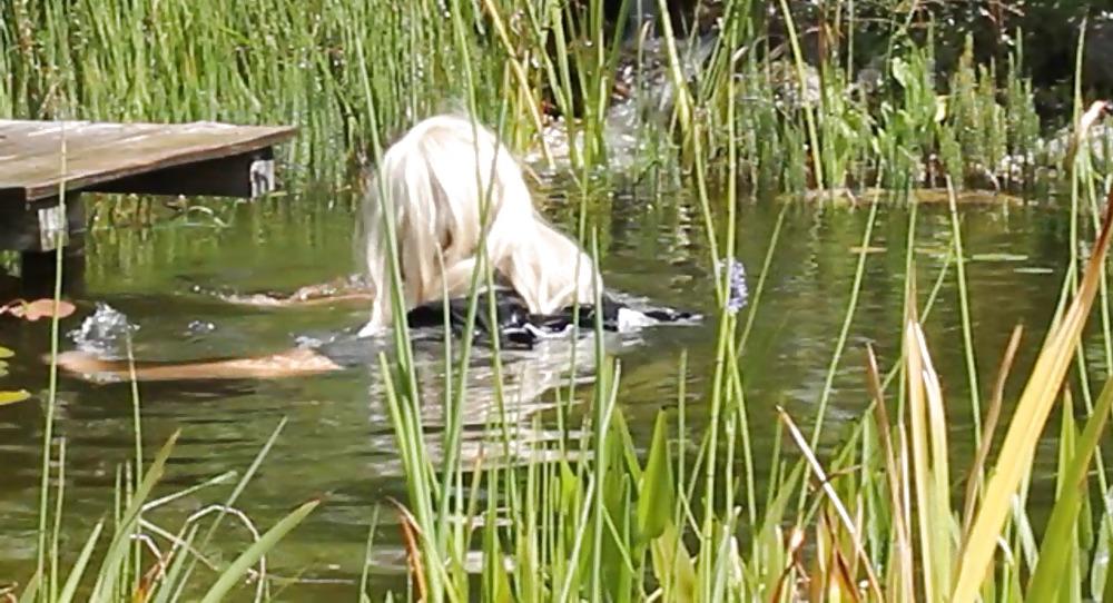25P Sissy bath fully dressed in a pond, and was observed to