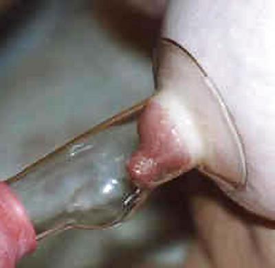 25P Pregnant Maternity Milking Machines