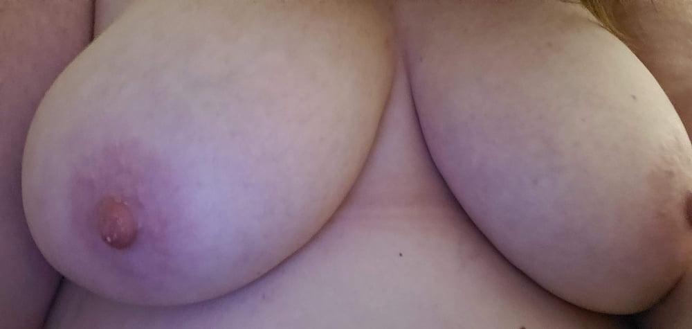 11P Stan's FAT COW WIFE