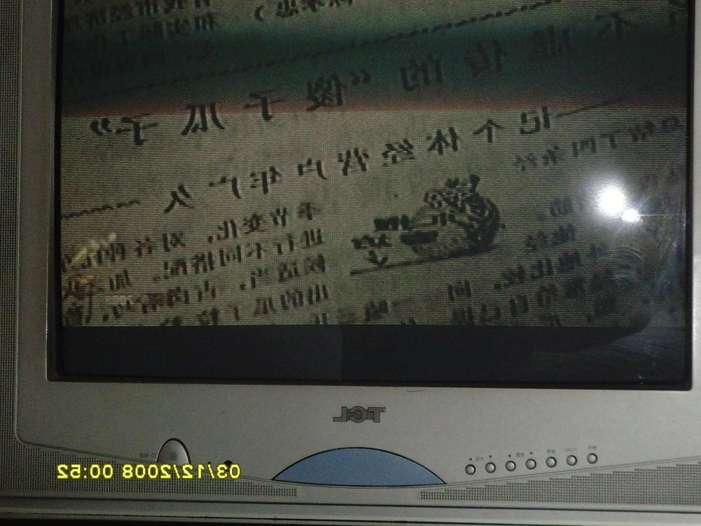 25P Chinese Amateur-238