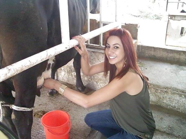 6P Friends at san eli dairy milking the cow