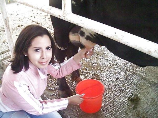 6P Friends at san eli dairy milking the cow