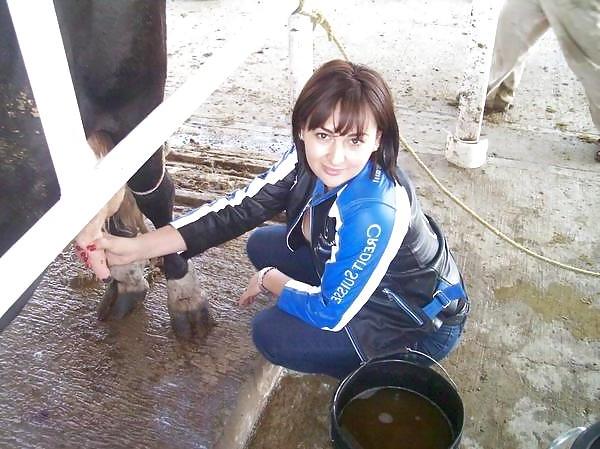 6P Friends at san eli dairy milking the cow